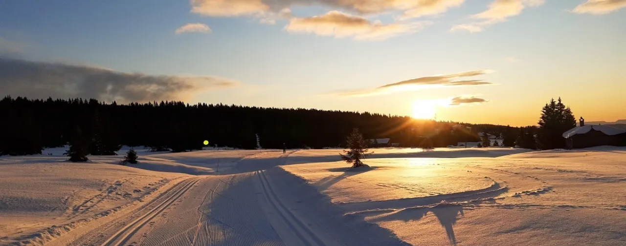 Vinter skispor i solnedgang 