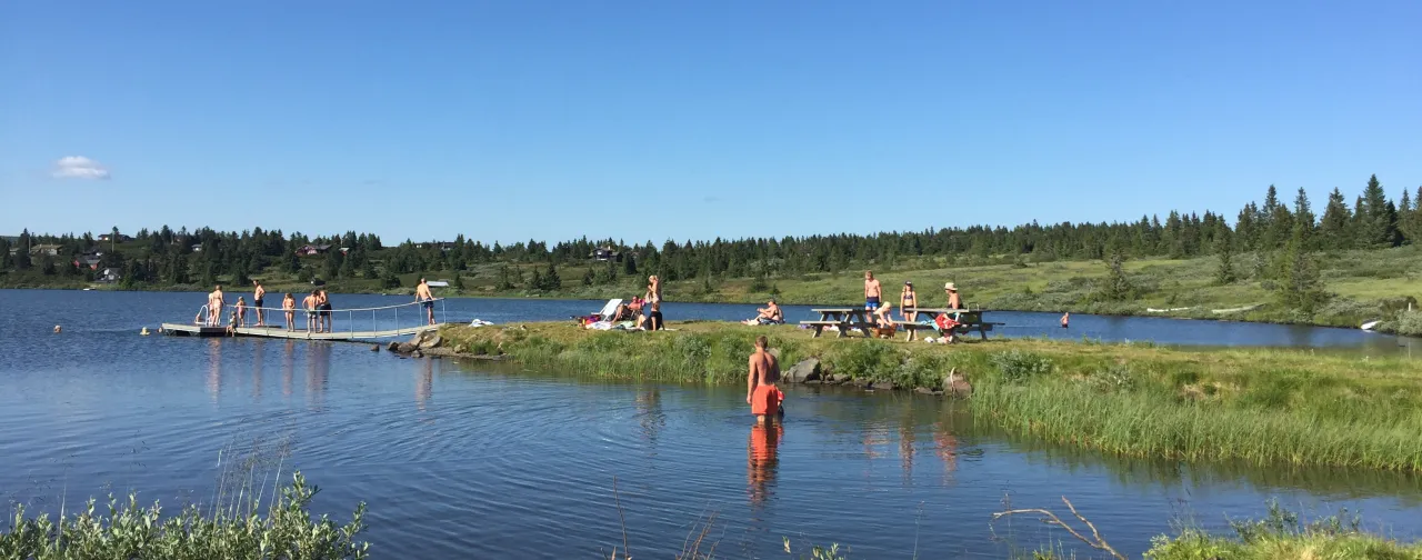 Sommer badegæster ved Nevelsøen