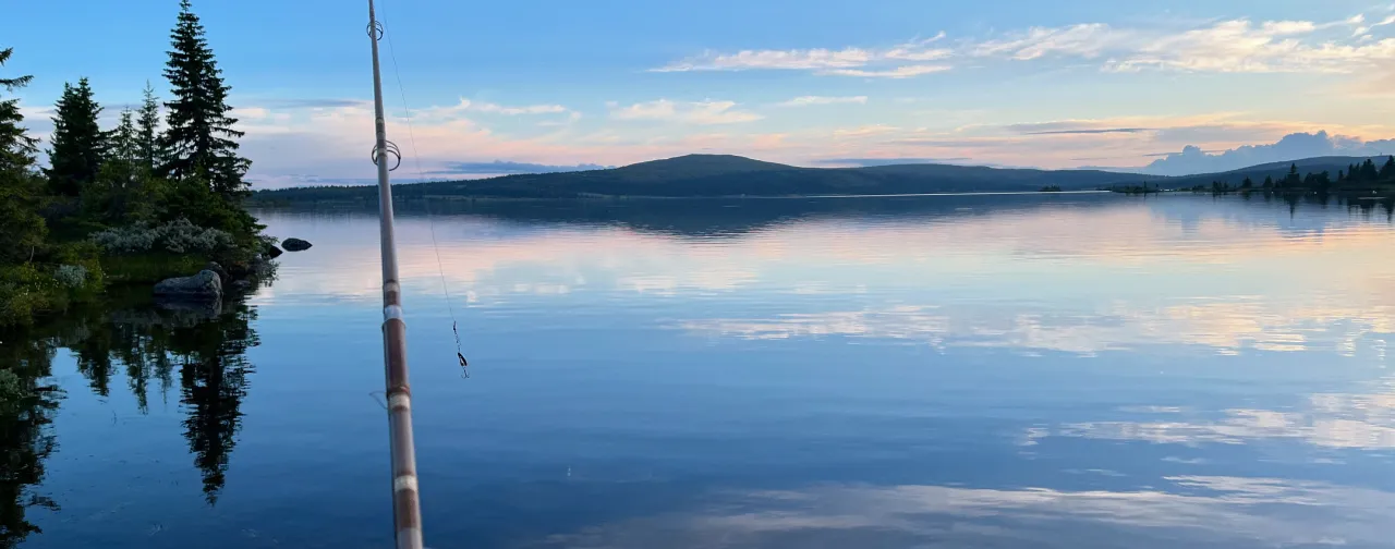 Sommer aftenfisking ved Nevelsøen