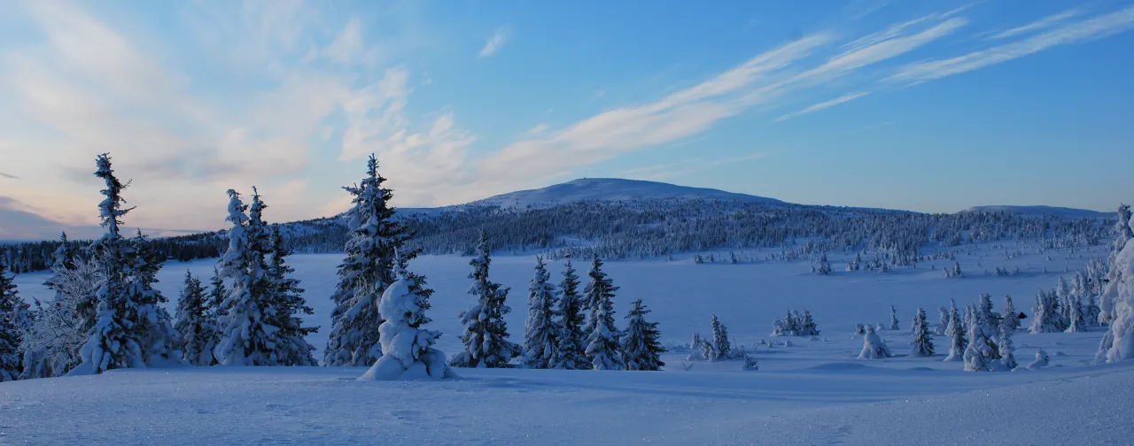 Vinter blåtime panorama av Nevelfjell og Nevelsøen