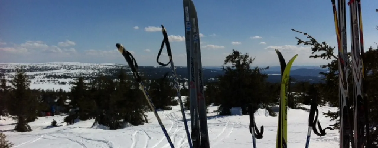 Vinter stående ski i løypen