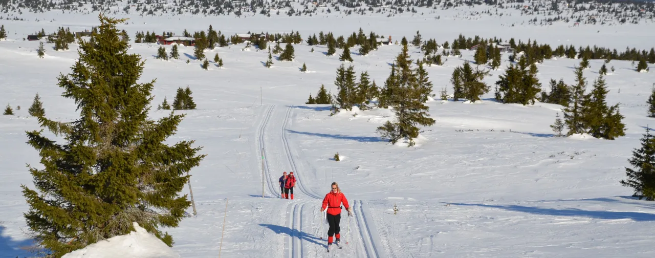 Nordseter_Fjellpark_Skiløype_Melsjøen_øst