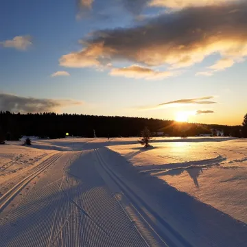Vinter skispor i solnedgang 