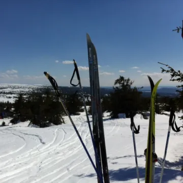 Vinter stående ski i løypen