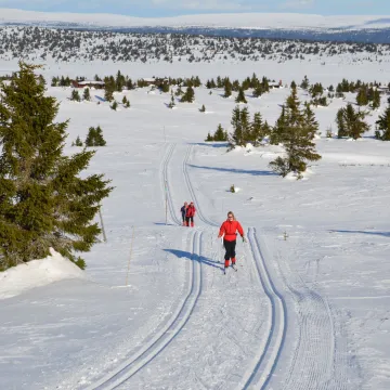 Nordseter_Fjellpark_Skiløype_Melsjøen_øst