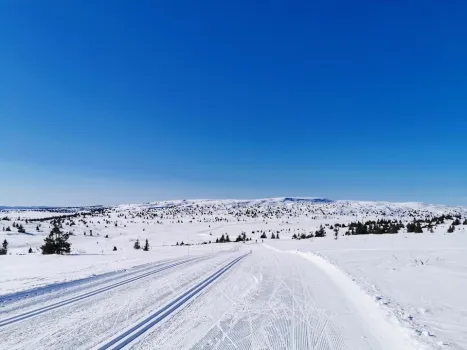 Nordseter skispor vinter