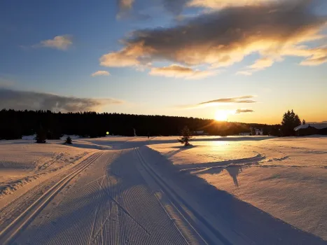 Vinter skispor i solnedgang 