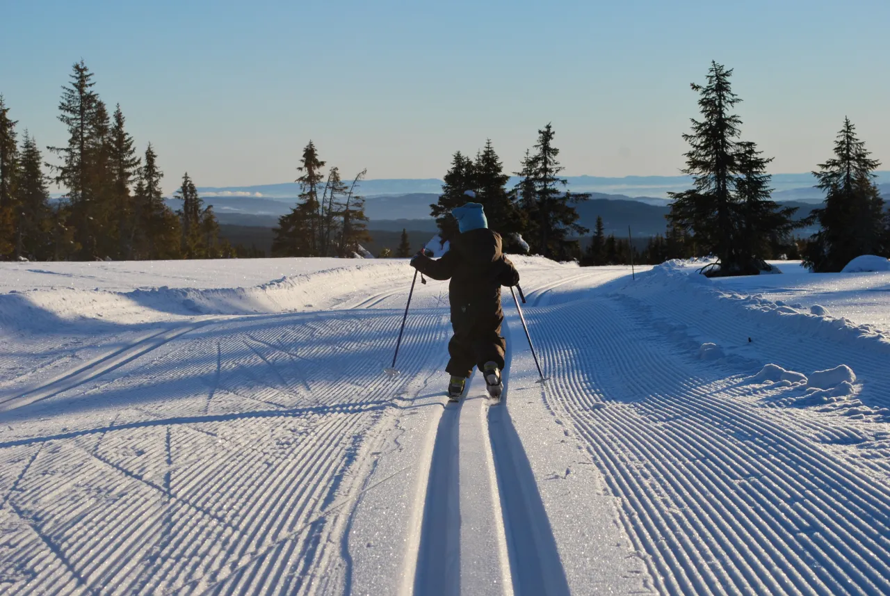 Nordseter Fjellpark