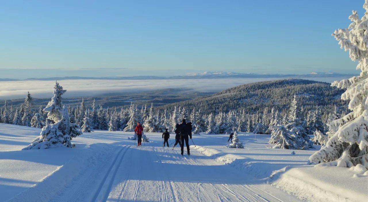 vinter panorama forside