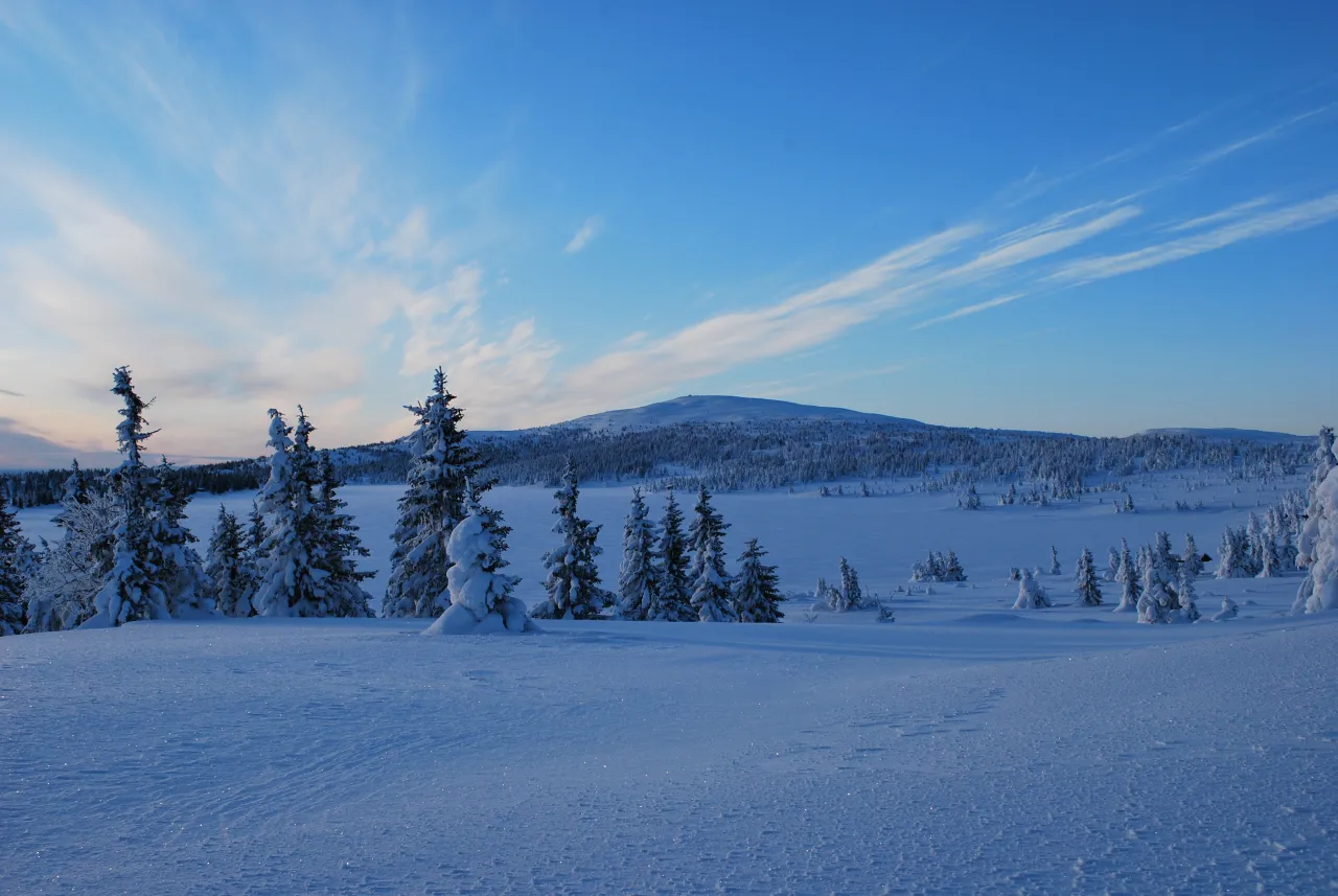 Vinter blåtime panorama av Nevelfjell og Nevelsøen