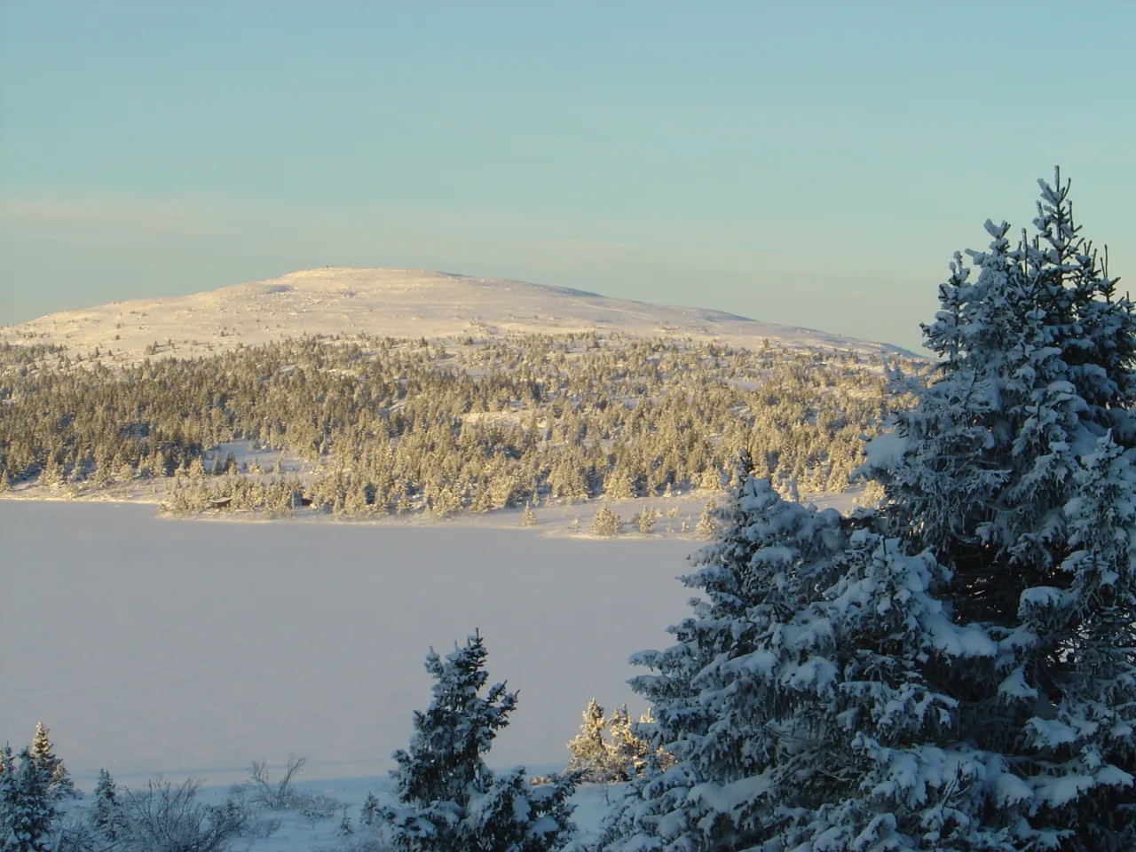 vinter panorama nevelfjell