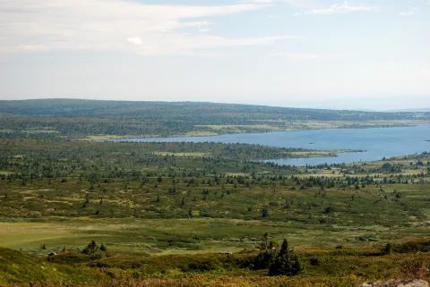 Sommer panorama med sø