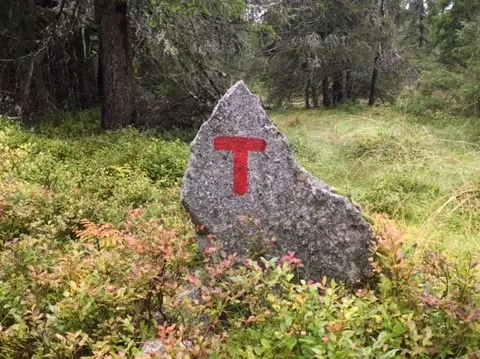 Rødt T