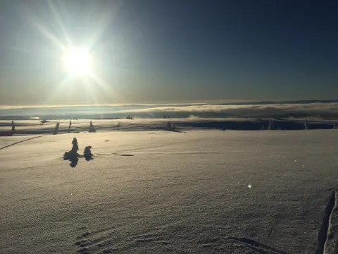 Vinter høy sol over sletten