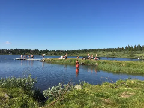 Sommer badegæster ved Nevelsøen