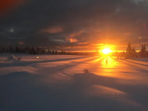 Vinter solnedgang med uberørt sne
