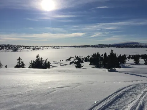 Vinter med scooterspor foran Nevelsøen og Nevelfjell
