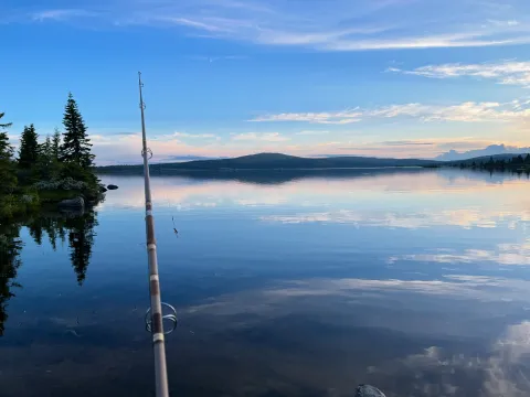 Sommer aftenfisking ved Nevelsøen