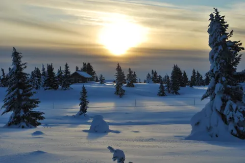 Vinter solnedgang over løype
