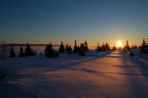 Nordseter_Fjellpark_fjell_solnedgang_trer