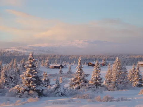Nordseter_Fjellpark_Nevelfjell_Vintermorgen_tåke