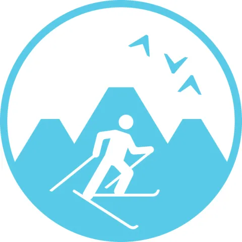 Pictogram_Skating